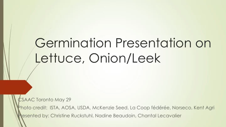 lettuce onion leek