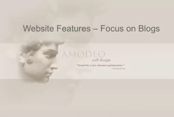 Website Features  Focus on Blogs  Some Common Features of Websites  Information  Marketing