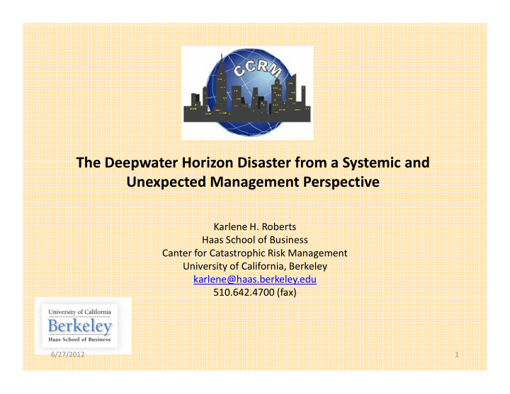 the deepwater horizon disaster from a systemic and