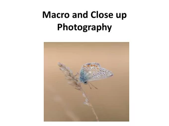 Macro and Close up  Photography  What does Macro mean?  Extreme close-up photography, usually  of
