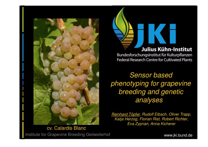 sensor based phenotyping for grapevine breeding and