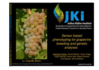 Sensor based  phenotyping for grapevine  breeding and genetic  analyses  Reinhard Tpfer, Rudolf