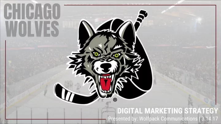 chicago wolves