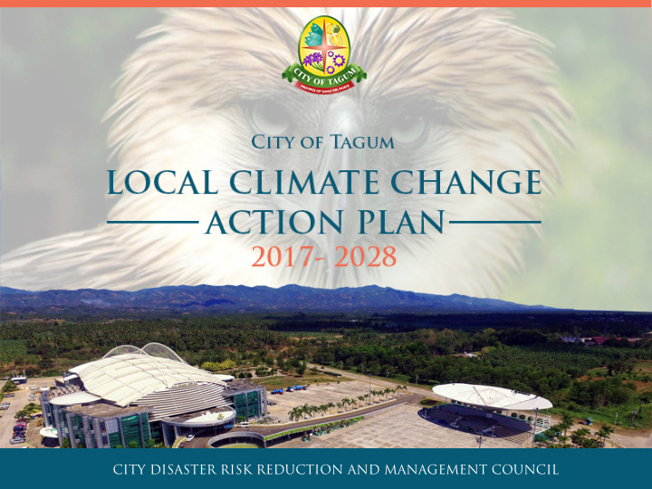 city disaster risk reduction and management council