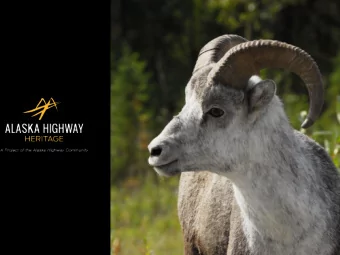 Building the Case  for the Alaska  Highway Corridor April Moi  Northern British  Columbia