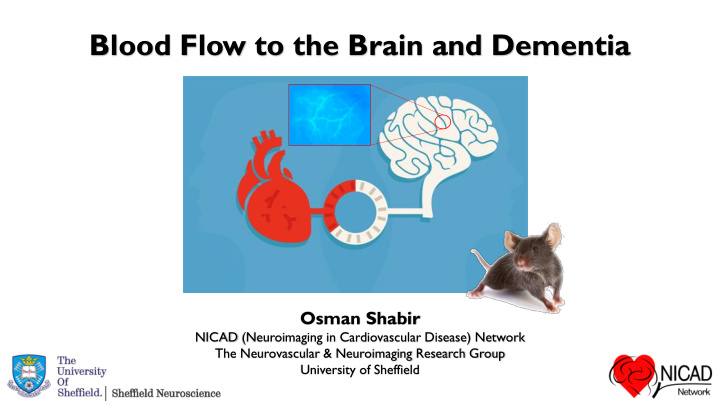 blood flow to the brain and dementia