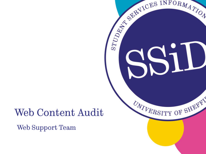 web content audit