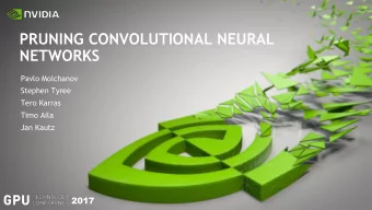 NETWORKS  Pavlo Molchanov  Stephen Tyree Tero Karras  Timo Aila  Jan Kautz  2017  WHY WE CAN PRUNE