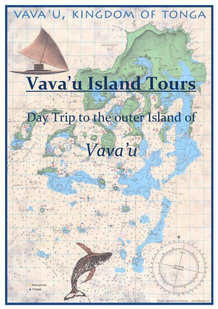 vava u island tours