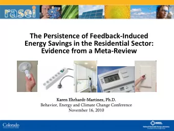 The Persistence of Feedback  Induced Energy Savings in the Residential Sector: Evidence from a