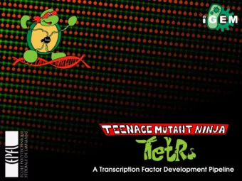 Want a more  interesting circuit? Elowitz et al ., Nature (2000).  ?  lacI  tetR  cI  ?  ?