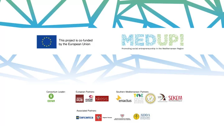 this project is co funded by the european union