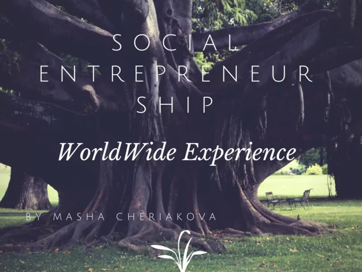 social entrepreneurship