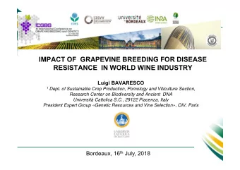 IMPACT OF  GRAPEVINE BREEDING FOR DISEASE  RESISTANCE  IN WORLD WINE INDUSTRY  Luigi BAVARESCO 1