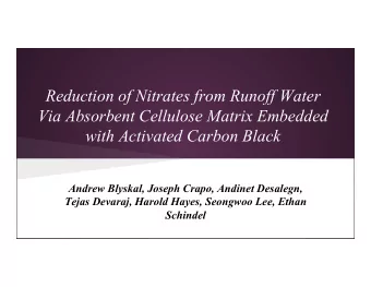 Reduction of Nitrates from Runoff Water  Via Absorbent Cellulose Matrix Embedded  with Activated