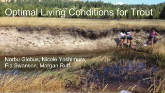 Optimal Living Conditions for Trout  Norbu Globus, Nicole Yoshimura,  Fia Swanson, Morgan Ruff