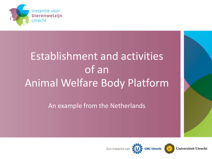 establishment and activities of an animal welfare body