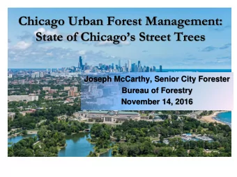 State of Chicagos Street Trees  Joseph McCarthy, Senior City Forester  Bureau of Forestry