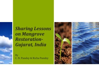 Sharing Lessons  on Mangrove  Restoration-  Gujarat, India  By  C. N. Pandey &amp; Richa Pandey