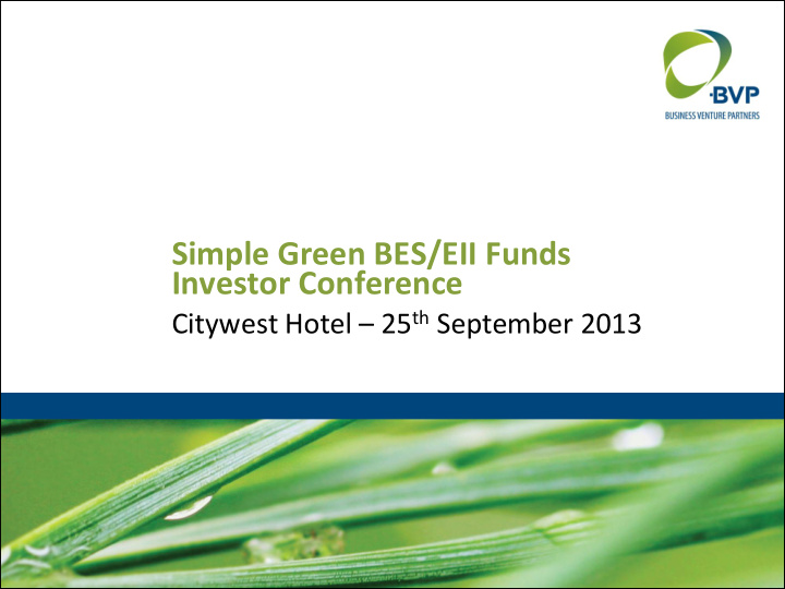 simple green bes eii funds