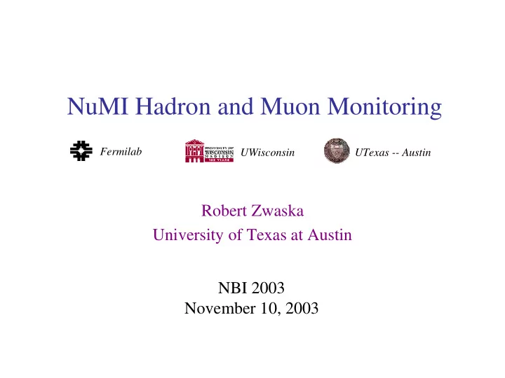 numi hadron and muon monitoring