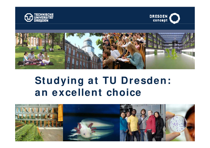 studying at tu dresden an excellent choice an excellent