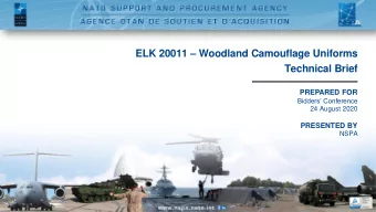 Technical Brief  PREPARED FOR  Bidders Conference  24 August 2020  PRESENTED BY  NSPA