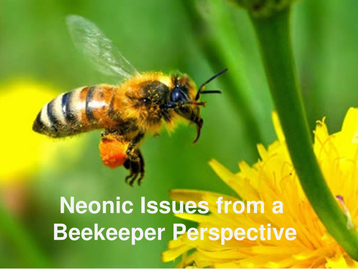neonic issues from a beekeeper perspective gene brandi