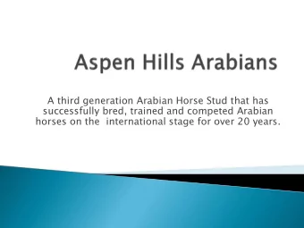 A third generation Arabian Horse Stud that has  successfully bred, trained and competed Arabian