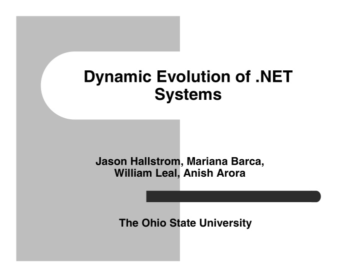 dynamic evolution of net systems