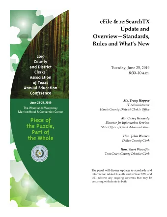 Piece of  Director for Information Services  the Puzzle,  State Office of Court Administration