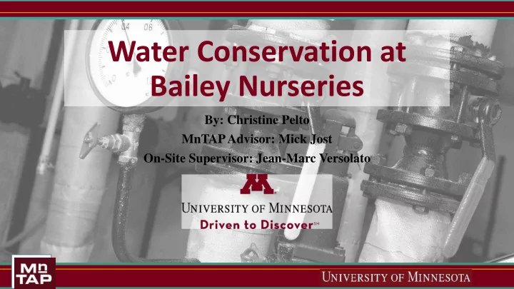 water conservation at bailey nurseries