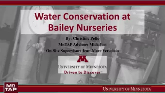 Water Conservation at  Bailey Nurseries  By: Christine Pelto  MnTAP Advisor: Mick Jost  On-Site