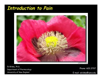 Introduction to Pain  Ed Bilsky, Ph.D.  Phone: 602.2707  Department of Pharmacology  University of