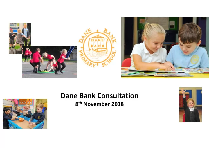 dane bank consultation