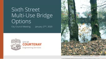 Multi-Use Bridge  Options  City Council Meeting January 27 th , 2020  1  Sixth Street Multi-Use