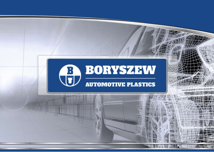 the boryszew group