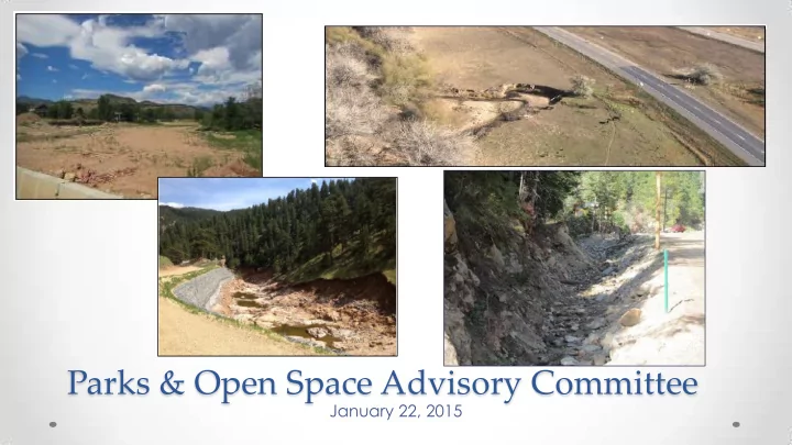 parks open space advisory committee