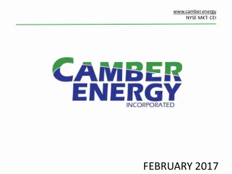 FEBRUARY 2017  Forward-Looking and Cautionary Statements  Safe Harbor Statement and Disclaimer This