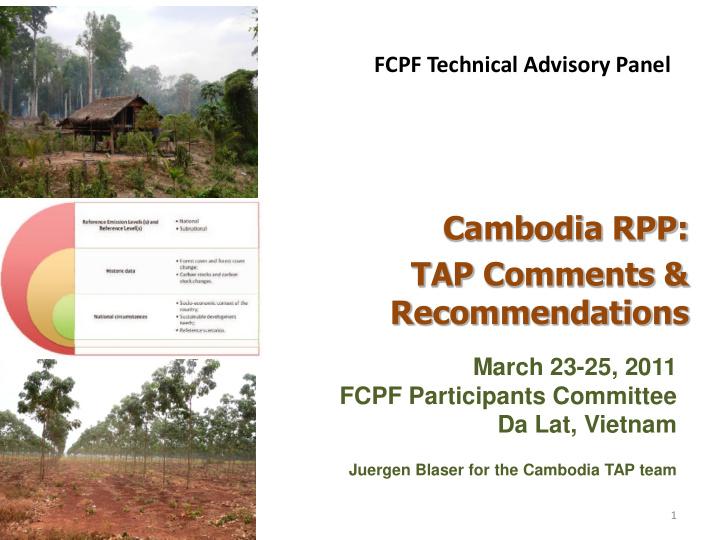cambodia rpp tap comments recommendations