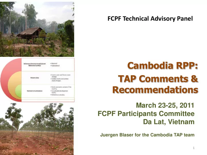 cambodia rpp tap comments recommendations