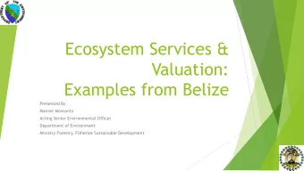 Ecosystem Services &amp;  Valuation:  Examples from Belize  Presented By:  Maxine Monsanto  Acting