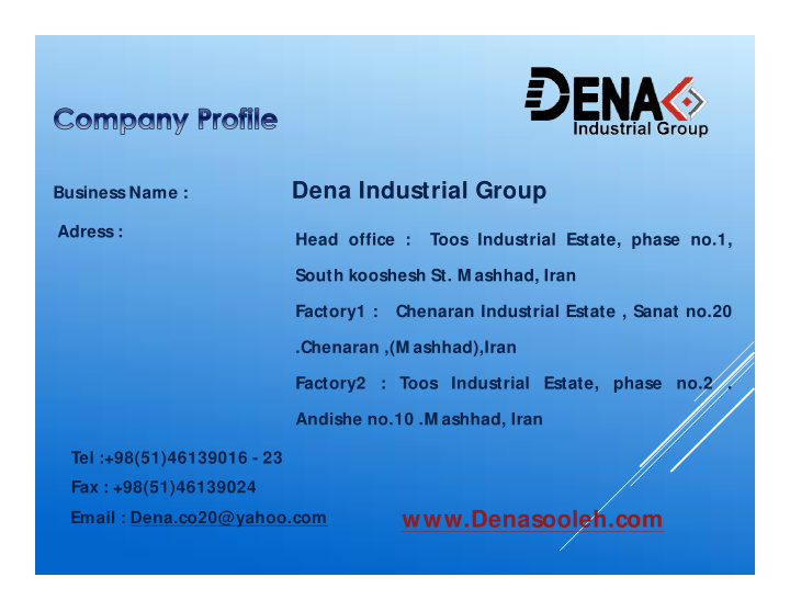 business name dena industrial group