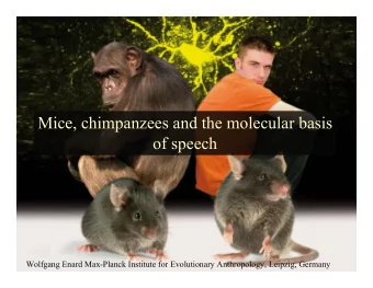 Mice, chimpanzees and the molecular basis  of speech  Wolfgang Enard Max-Planck Institute for