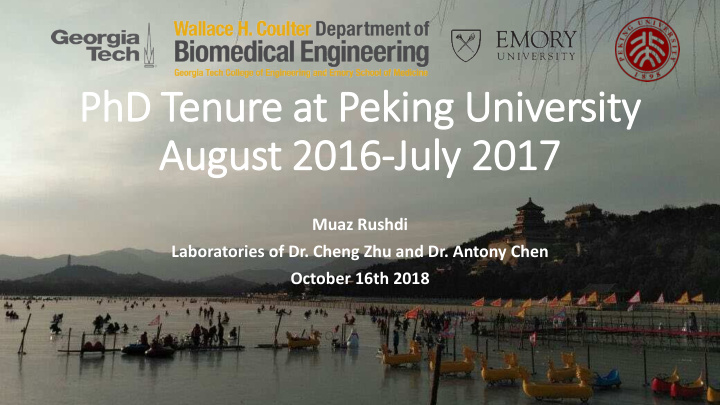 phd t tenure a at peki king universi sity ty au august