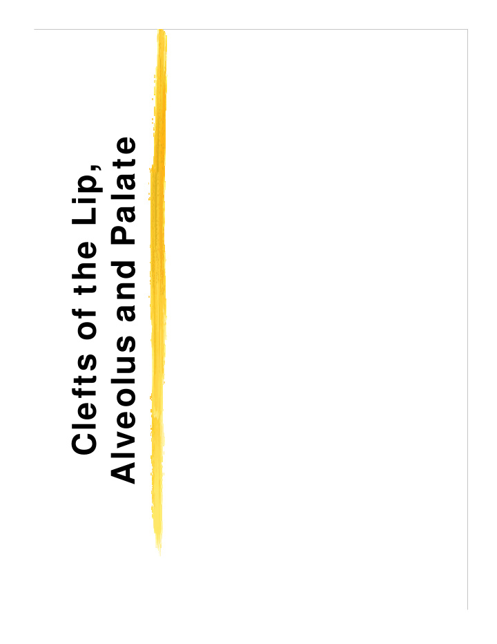 alveolus and palate clefts of the lip overview