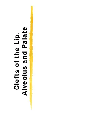 Alveolus and Palate  Clefts of the Lip,  Overview  Introduction  Basic Science  Timetable