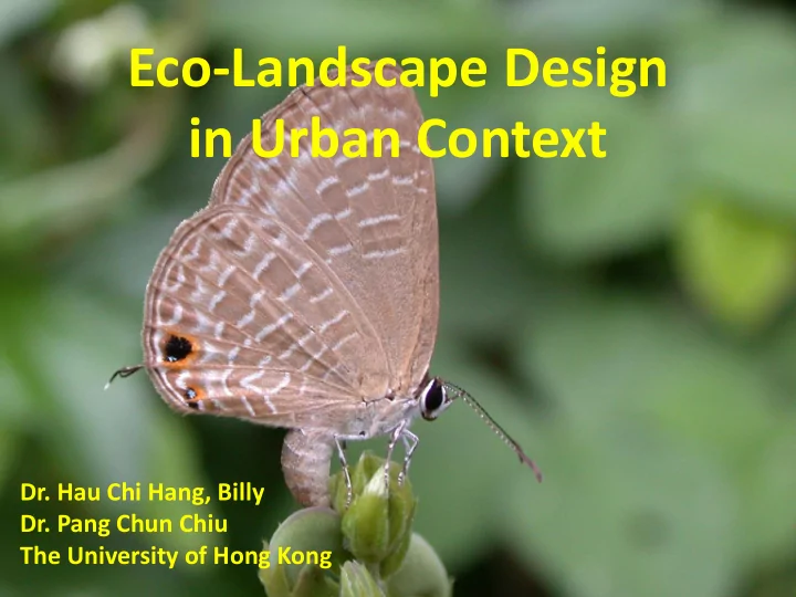 in urban context
