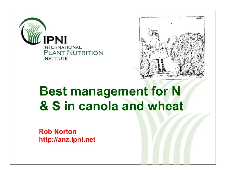best management for n amp s in canola and wheat