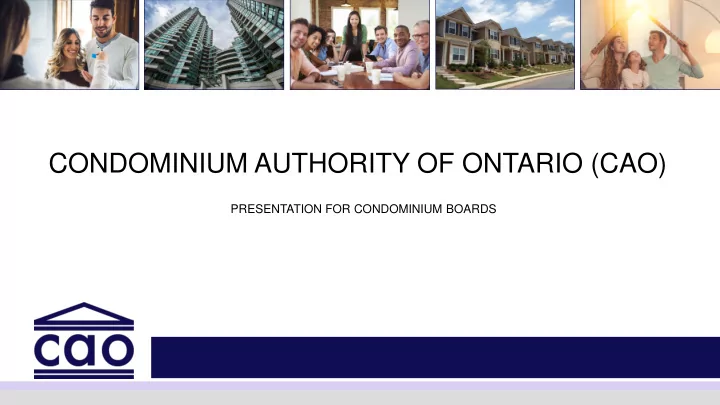 condominium authority of ontario cao